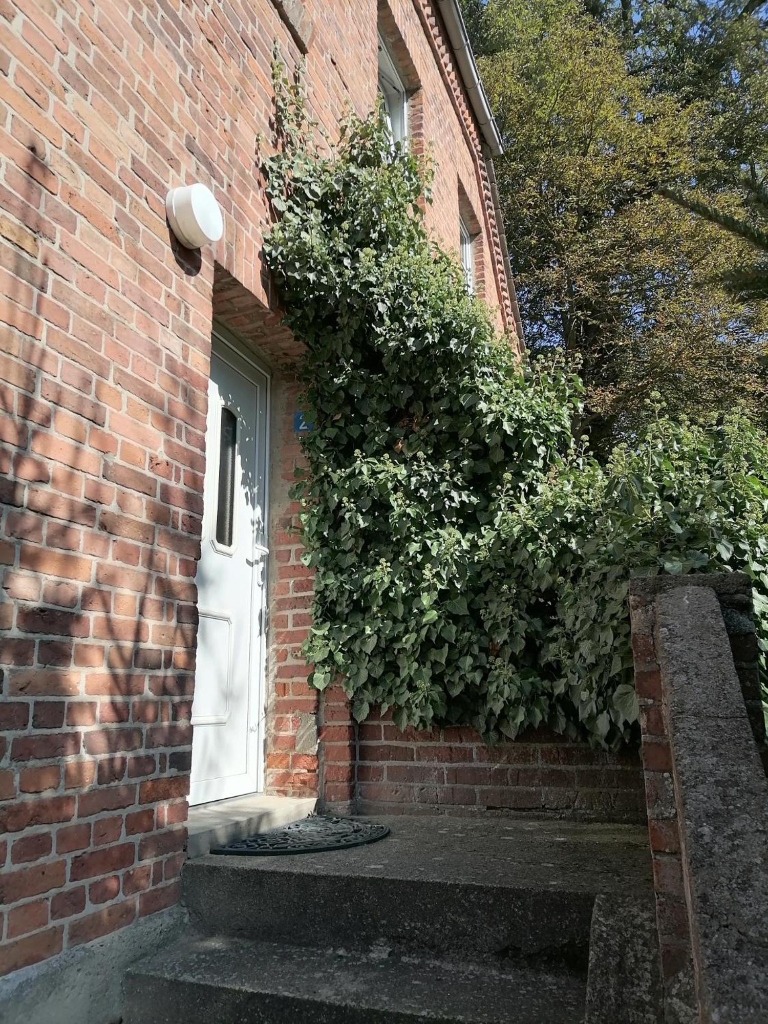 Gutshaus Daemelow Tussen Schwerin En Wismar Exteriör bild