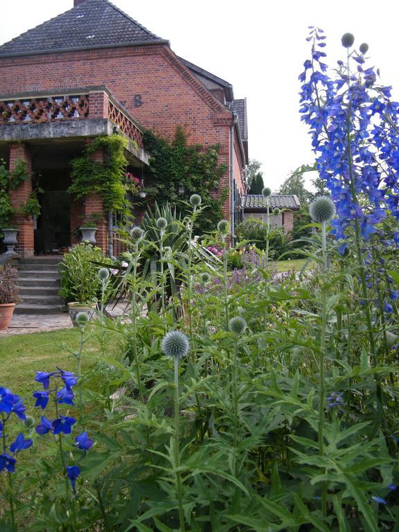 Gutshaus Daemelow Tussen Schwerin En Wismar Exteriör bild